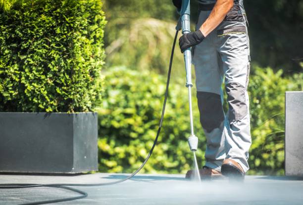 Best Driveway Cleaning and Restoration in Medford, MN